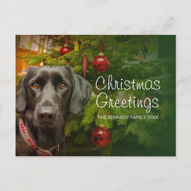 Cartes Pour Fêtes Annuelles Labrador noir (Devant)