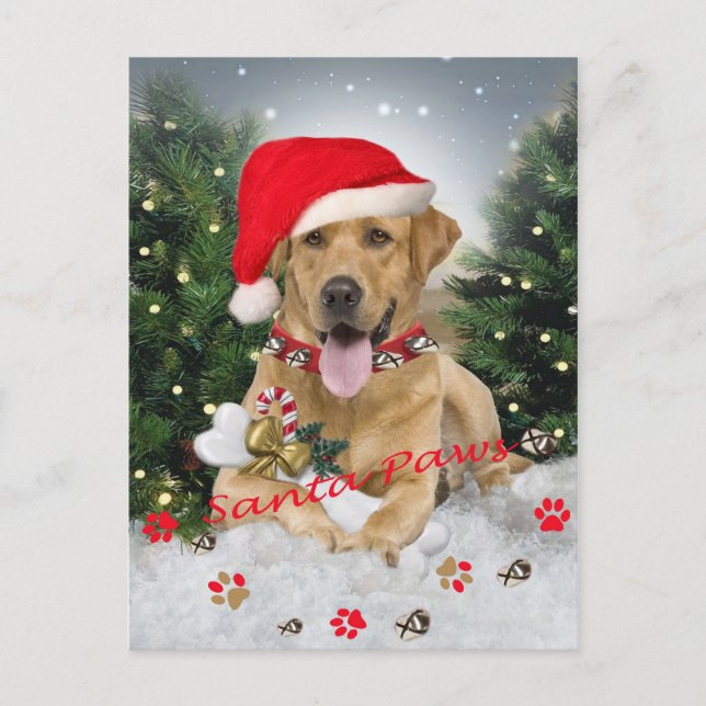Cartes Pour Fêtes Annuelles Labrador Retriever Père Noël Cadeaux (Devant)