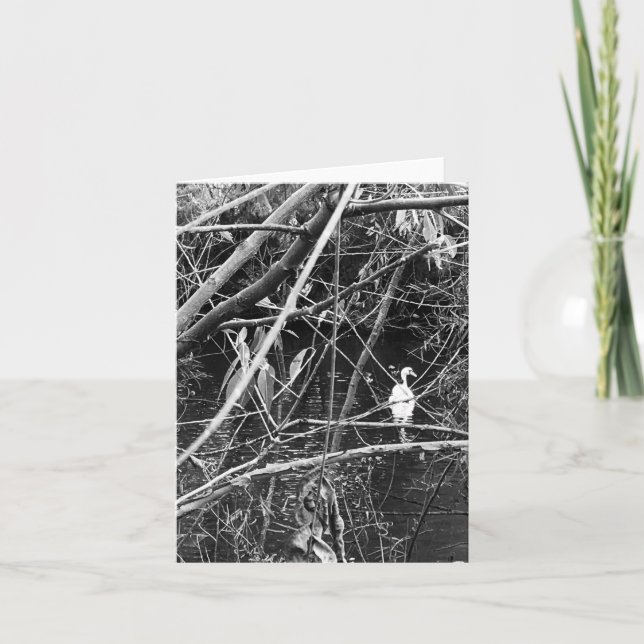 Cartes Pour Fêtes Annuelles lac george (Devant)