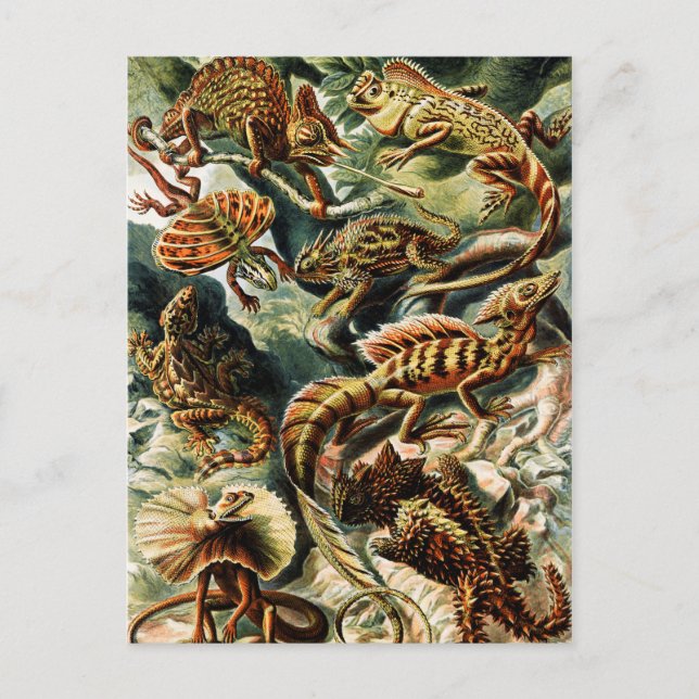 Cartes Pour Fêtes Annuelles Lacertilia Lizards par Ernst Haeckel (Devant)