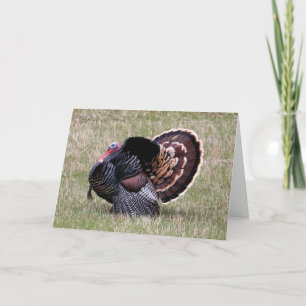 Cartes Pour Fêtes Annuelles L'action de grâces de la Turquie sauvage
