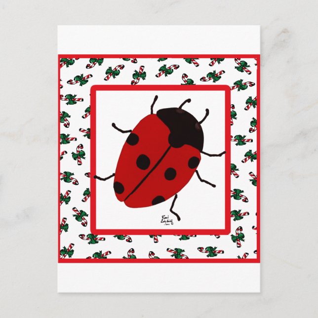 Cartes Pour Fêtes Annuelles Ladybug de Noël en juillet (Devant)