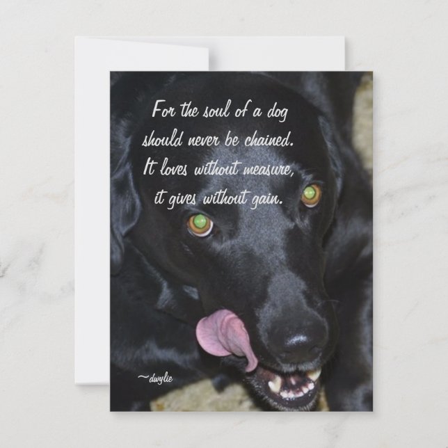 Cartes Pour Fêtes Annuelles L'âme d'un chien - Black Lab (Devant)