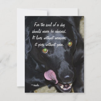 Cartes Pour Fêtes Annuelles L'âme d'un chien - Black Lab