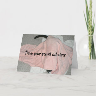 Cartes Pour Fêtes Annuelles L'amiral secret Valentine du chat