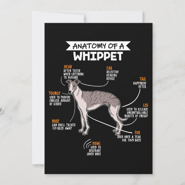 Cartes Pour Fêtes Annuelles l'anatomie d'un chien blanc un cadeau d'amoureux d (Devant)