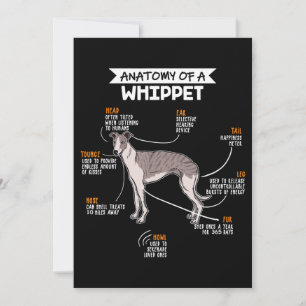 Cartes Pour Fêtes Annuelles l'anatomie d'un chien blanc un cadeau d'amoureux d