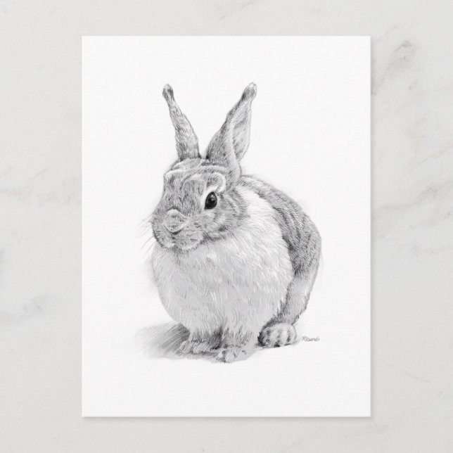 Cartes Pour Fêtes Annuelles Lapin (Devant)