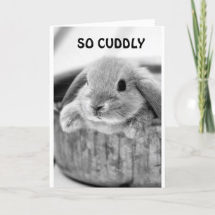 CARTES POUR FÊTES ANNUELLES LAPIN COMIQUE DIT **JOYEUX HALLOWEEN** 