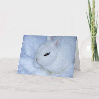 Cartes Pour Fêtes Annuelles Lapin de neige