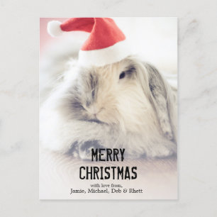 Cartes Pour Fêtes Annuelles Lapin de Noël avec le casquette mignon