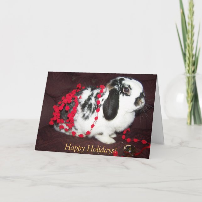 Cartes Pour Fêtes Annuelles Lapin de Noël, bonnes fêtes ! (Devant)