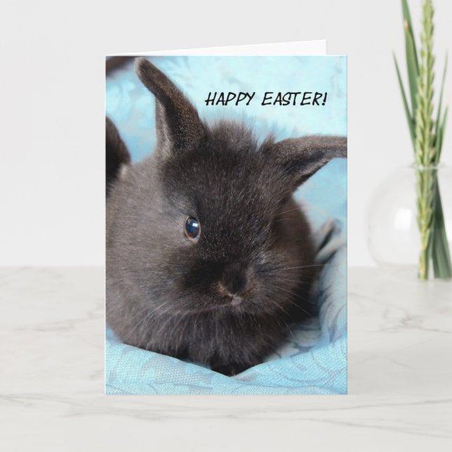 Cartes Pour Fêtes Annuelles Lapin de Pâques (Devant)