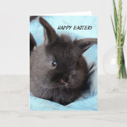 Cartes Pour Fêtes Annuelles Lapin de Pâques