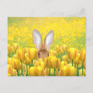Cartes Pour Fêtes Annuelles Lapin de Pâques
