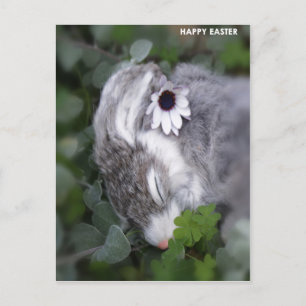 Cartes Pour Fêtes Annuelles Lapin de Pâques