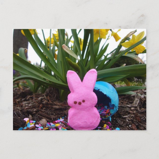 Cartes Pour Fêtes Annuelles Lapin de Pâques Animal Printemps rose Paix amour (Devant)