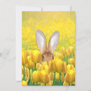 Cartes Pour Fêtes Annuelles Lapin de Pâques dans les tulipes