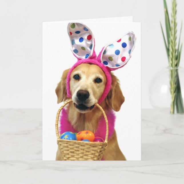 Cartes Pour Fêtes Annuelles Lapin de Pâques de golden retriever (Devant)