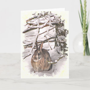 Cartes Pour Fêtes Annuelles Lapin Neige Pâques