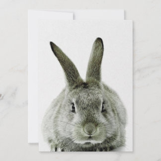 Cartes Pour Fêtes Annuelles lapin noir et blanc | cadeau pour amateur de lapin