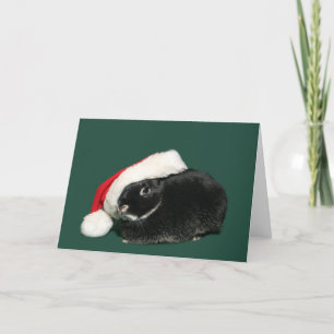Cartes Pour Fêtes Annuelles Lapin père Noël