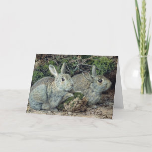 Cartes Pour Fêtes Annuelles Lapins