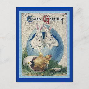 Cartes Pour Fêtes Annuelles Lapins blancs vintages de Pâques et poussin de béb