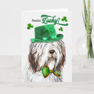 Cartes Pour Fêtes Annuelles Le berger anglais Feelin' Lucky St Patrick's Day