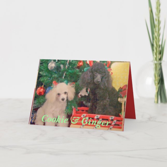 Cartes Pour Fêtes Annuelles Le biscuit et le gingembre célèbrent Noël (Devant)