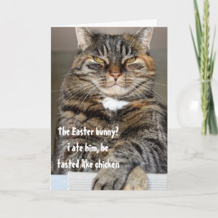 Cartes De Vœux Chat Drole Zazzle Ca