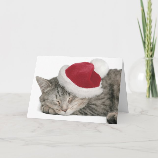 Cartes Pour Fêtes Annuelles Le chat gris dort dans un Casquette du Nouvel An (Devant)