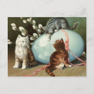 Cartes Pour Fêtes Annuelles Le chat Pâques de chaton a coloré l'oeuf peint