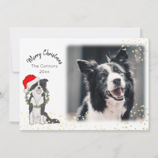 Cartes Pour Fêtes Annuelles Le chien de Noël avec la frontière photo Collie