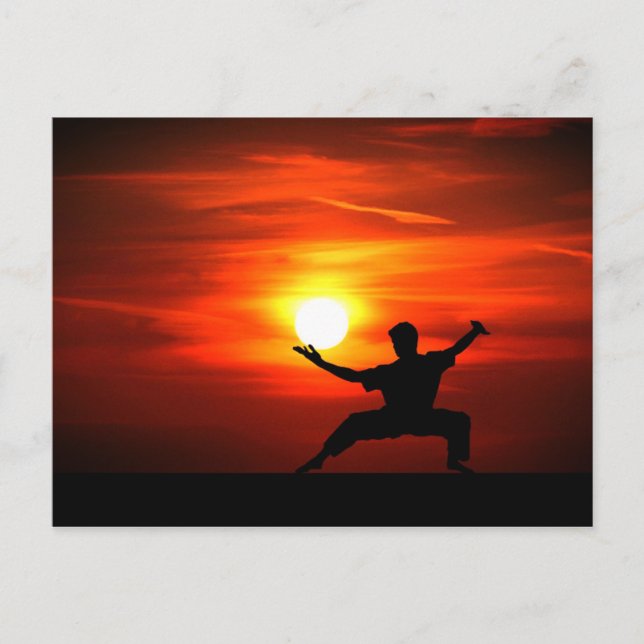 Cartes Pour Fêtes Annuelles Le combat de Kung Fu ! (Devant)