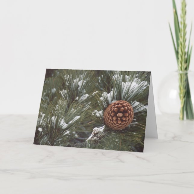 Cartes Pour Fêtes Annuelles Le cône de pin s'est levé (Devant)