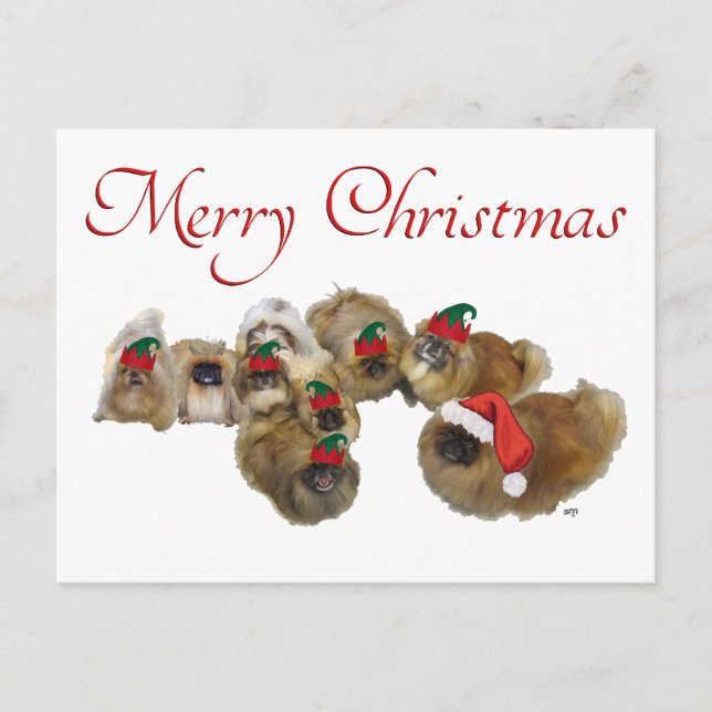 Cartes Pour Fêtes Annuelles Le Groupe Pekingese célèbre Noël (Devant)
