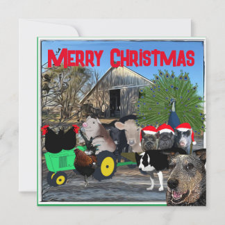 Cartes Pour Fêtes Annuelles Le jardin de la cuisine