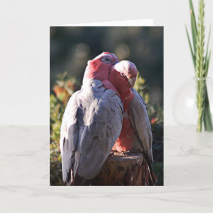 Cartes Pour Fêtes Annuelles Le jour parfait - Saint Valentin