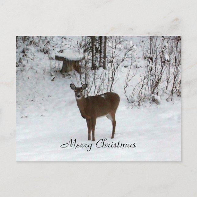 Cartes Pour Fêtes Annuelles Le joyeux cerf de Noël de grand-parent (Devant)