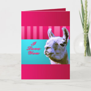 Cartes Pour Fêtes Annuelles Le lama de Valentine soit je t'aime le mien