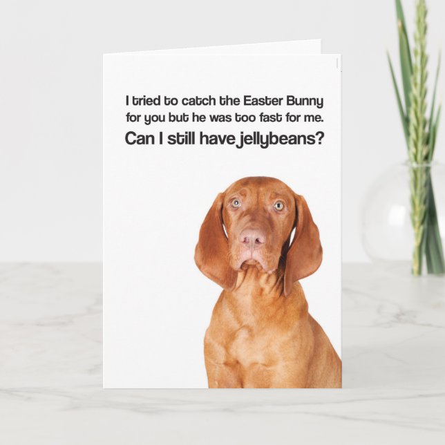 Cartes Pour Fêtes Annuelles Le lapin de Pâques était trop rapide (Vizsla) - (Devant)