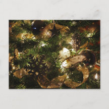 Le papillon de Noël