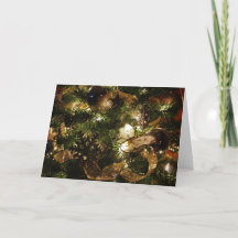 Le papillon de Noël