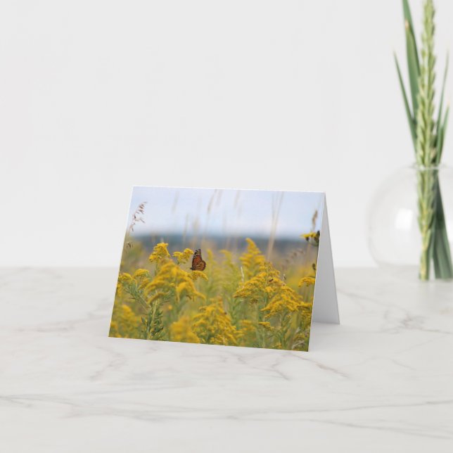Cartes Pour Fêtes Annuelles Le papillon Monarque dans un film sur l'algue (Devant)