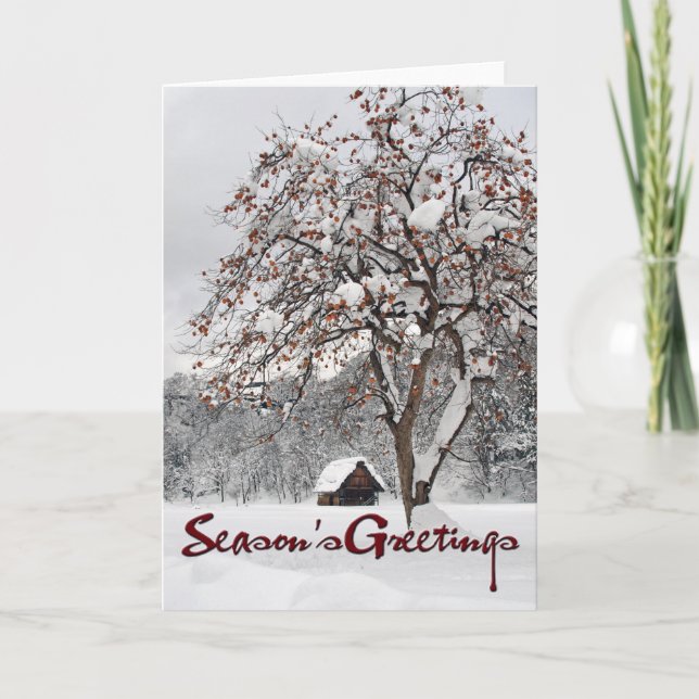 Cartes Pour Fêtes Annuelles Le pays des merveilles 2 (Bonnes Fêtes) d'hiver (Devant)