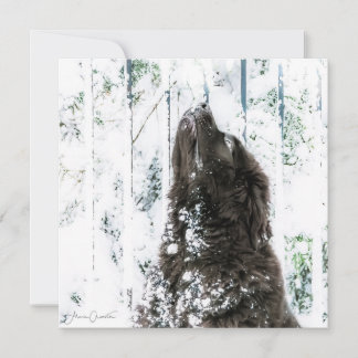 Cartes Pour Fêtes Annuelles Le pays des merveilles d'hiver