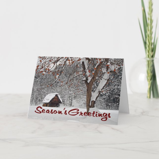 Cartes Pour Fêtes Annuelles Le pays des merveilles d'hiver (Bonnes Fêtes) (Devant)