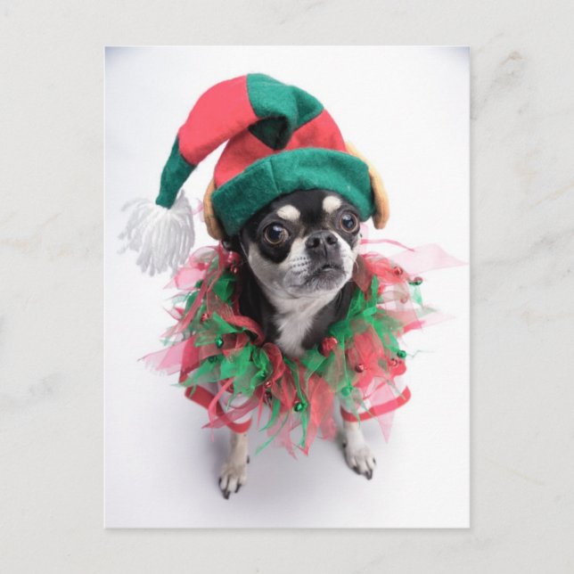 Cartes Pour Fêtes Annuelles Le Père Noël (Devant)