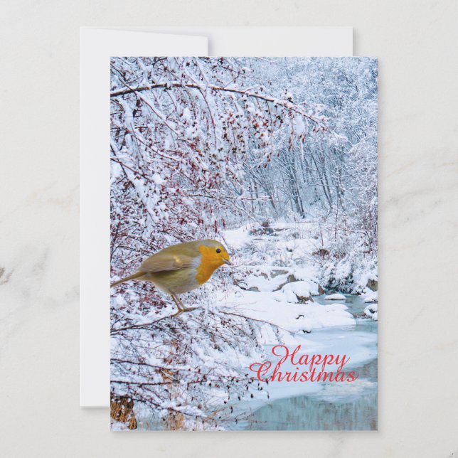 Cartes Pour Fêtes Annuelles Le Robin (Devant)